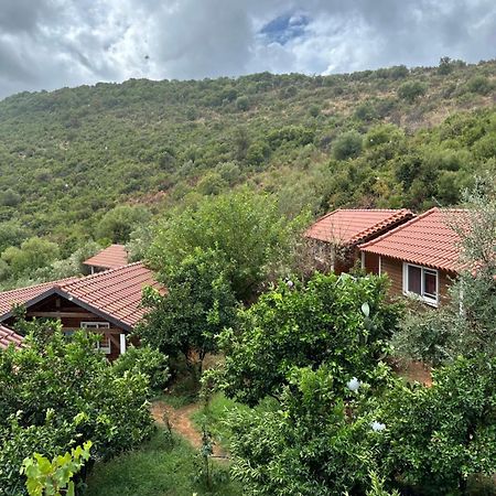 The Mussel House Villa Ksamil Exterior foto